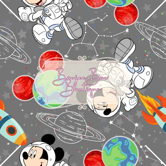 Mouse in Space